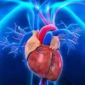给忙碌者的心脏医学课-百度网盘-下载
